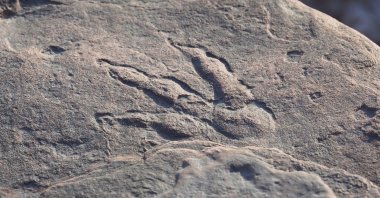 The dinosaur footprint was discovered on a beach near Barry in south Wales, the U.K. (Photo courtesy fo National Museum of Wales via Instagram)