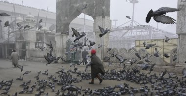 A man walks amid dense fog in Srinagar, Indian-occupied Jammu and Kashmir, Jan. 15, 2020. (Photo by Getty Images)
