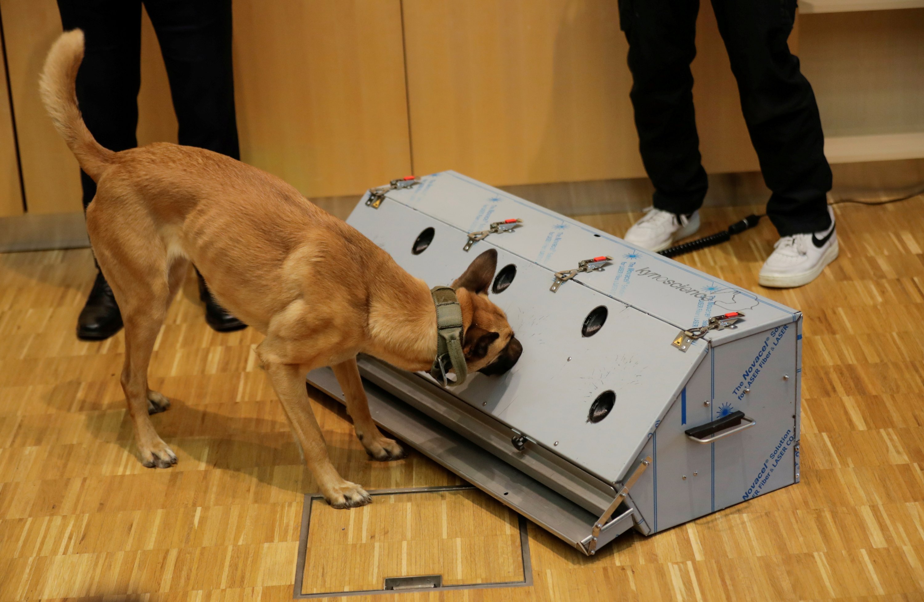 Train honden om coronavirus te detecteren