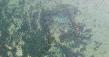 A photo of the submerged Kibatos Castle from above, in the Marmara Sea off Yalova province, northwestern Turkey, Oct. 26, 2019. (AA Photo)