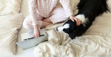 Not everyone can feel productive or professional when working in pajamas. (Shutterstock Photo)