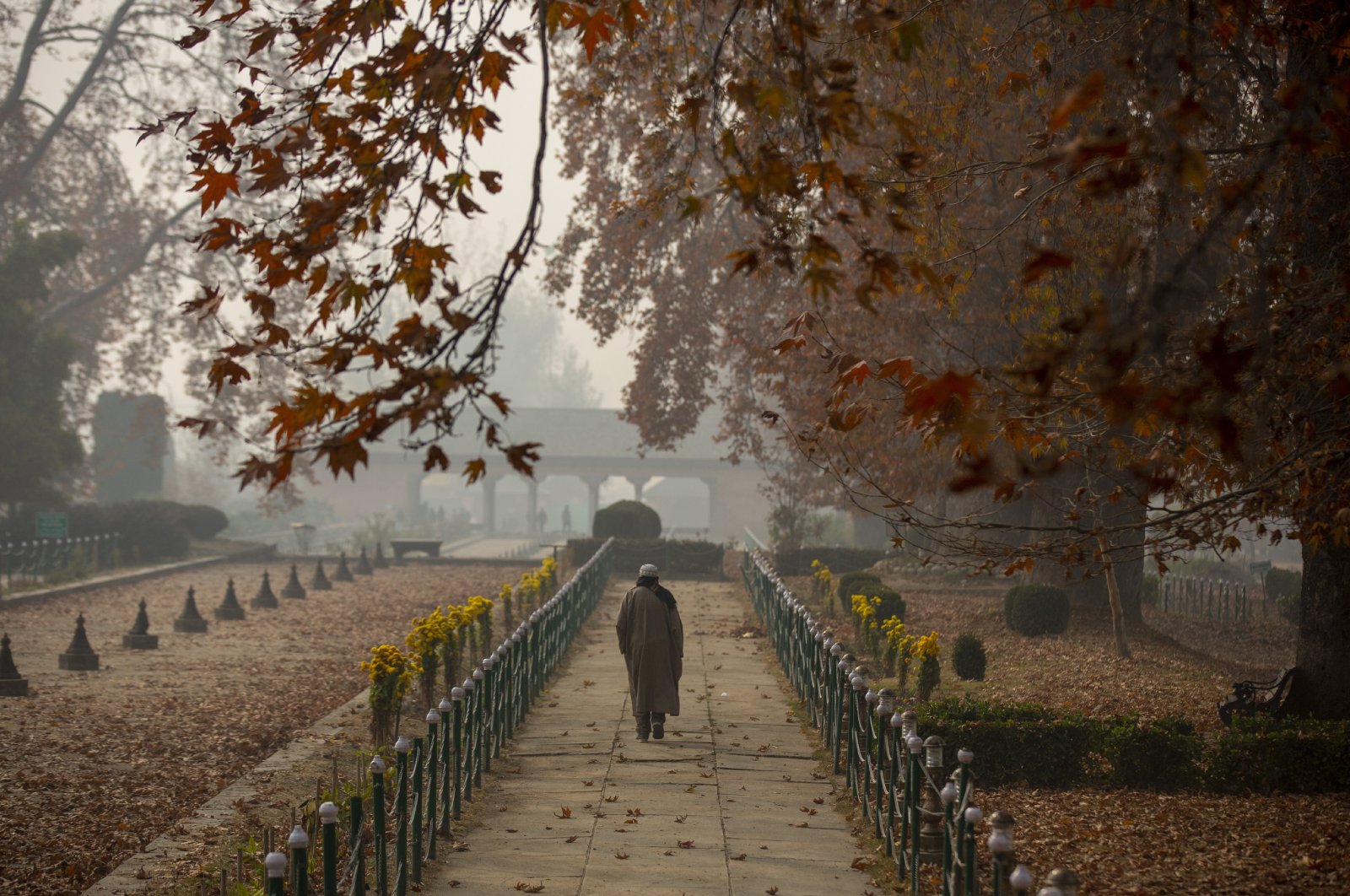 A Kashmiri man walks in a garden covered with fallen Chinar leaves on the outskirts of Srinagar, Indian-occupied Jammu and Kashmir, Nov. 11, 2020. (AP Photo)