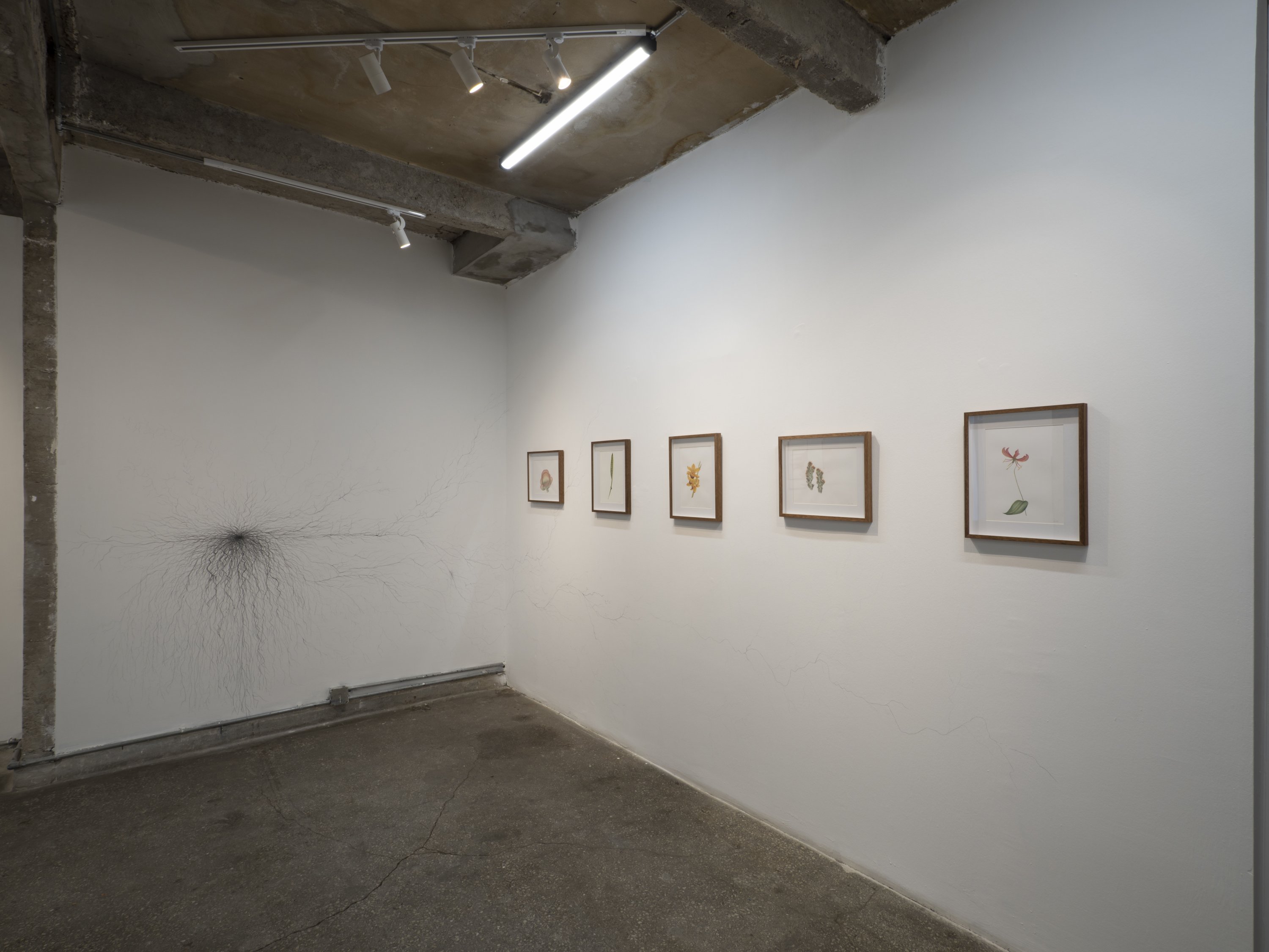 An installation view from 'Trunkless' at Öktem Aykut shows works by Camila Rocha. (Courtesy of Öktem Aykut)