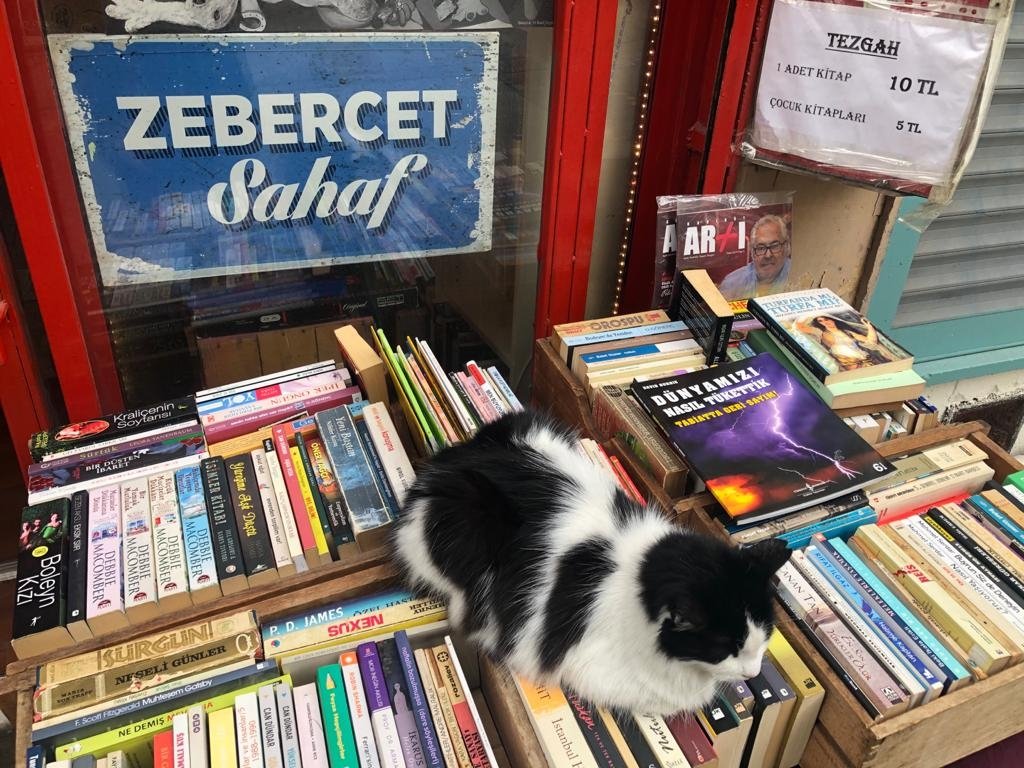 Secondhand books outside stores often become the beds of Istanbul's stray cats. (Photo by Matt Hanson)