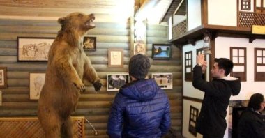 People take photos of a stuffed bear at a museum in Bolu, northern Turkey, Dec. 20, 2015. (DHA PHOTO) 