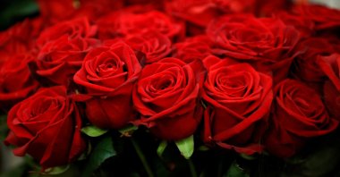 Red roses are displayed in a flower shop ahead of Valentine's Day in Paris, France, Feb. 12, 2021. (Reuters Photo)