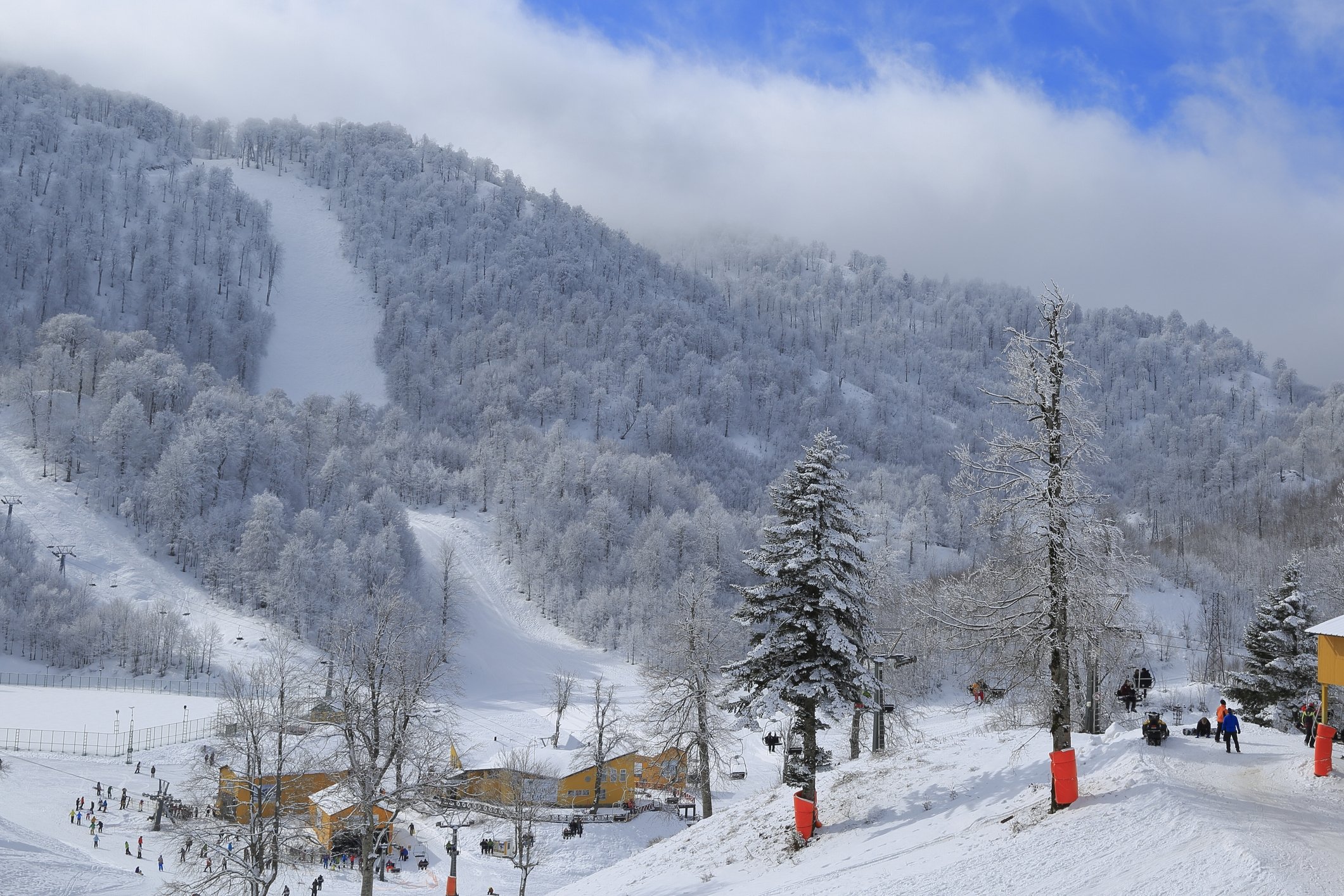 Kartepe ski center and pine trees in Kocaeli province, northwestern Turkey. (iStock Photo)