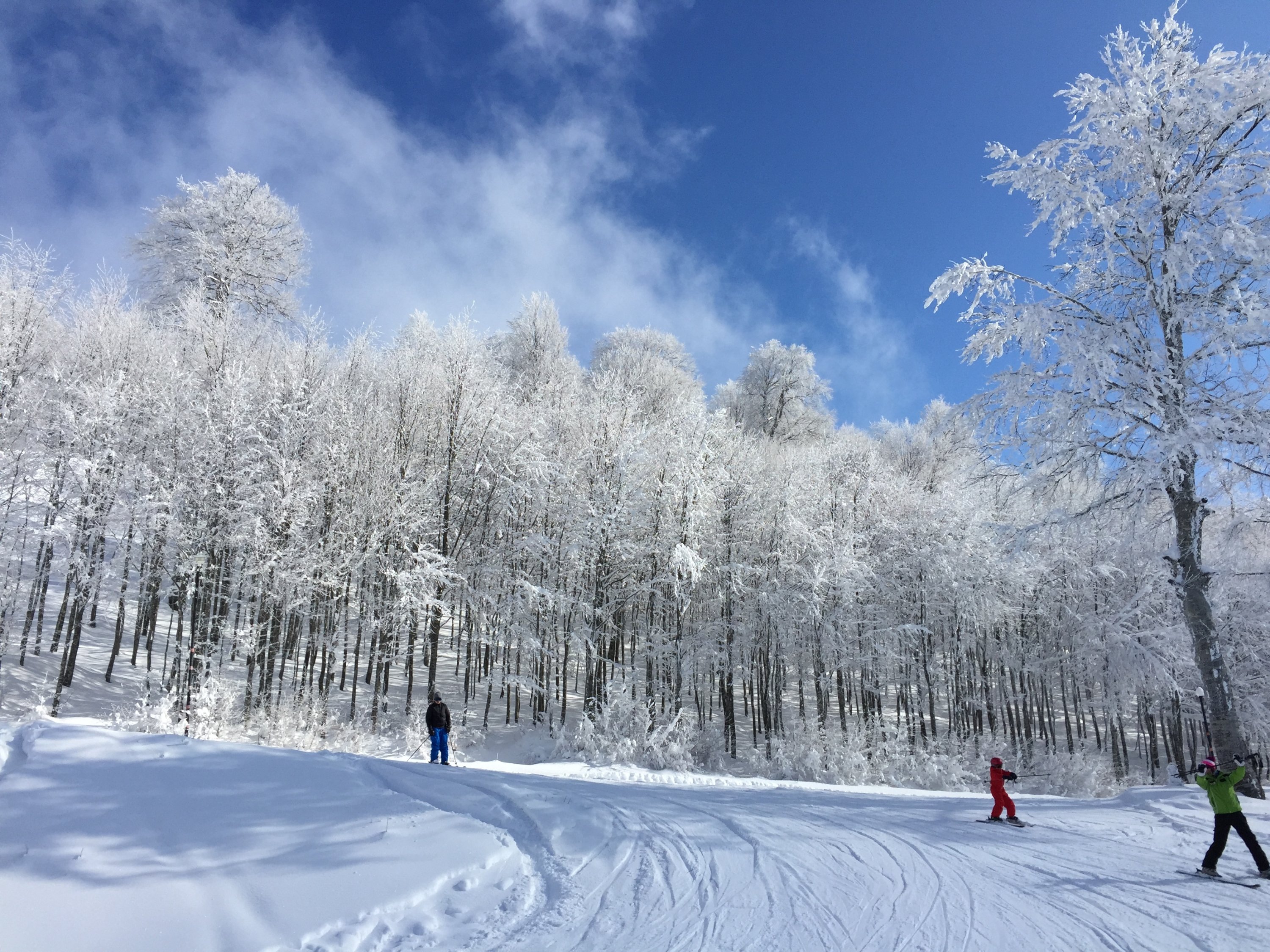 The snow-blanketed trees and blue skies at Kartepe make for great Instagram photo-ops. (Shutterstock Photo)