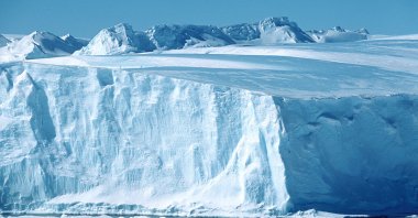 Emperor Penguins are seen walking along the Riiser Larsen Ice Shelf, a 250-mile-long ice shelf in the Weddell Sea on the coast of Queen Maud Land, Antarctica. (Shutterstock Photo)