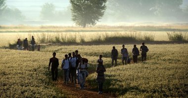 Migrants walking through a field to cross the border from Greece to Macedonia near the Greek village of Idomeni, Aug. 29, 2015. (AFP Photo)