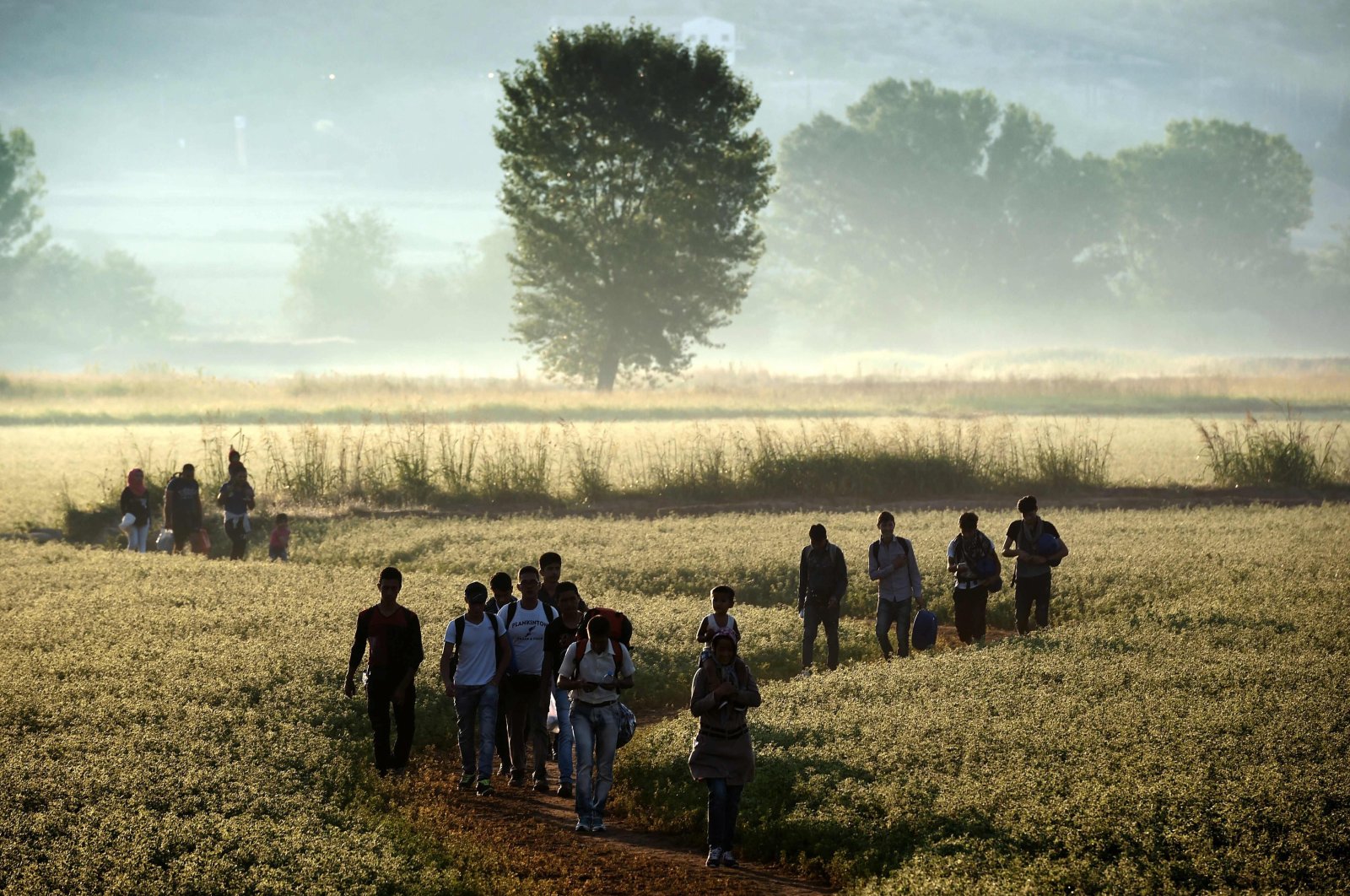 Migrants walking through a field to cross the border from Greece to Macedonia near the Greek village of Idomeni, Aug. 29, 2015. (AFP Photo)