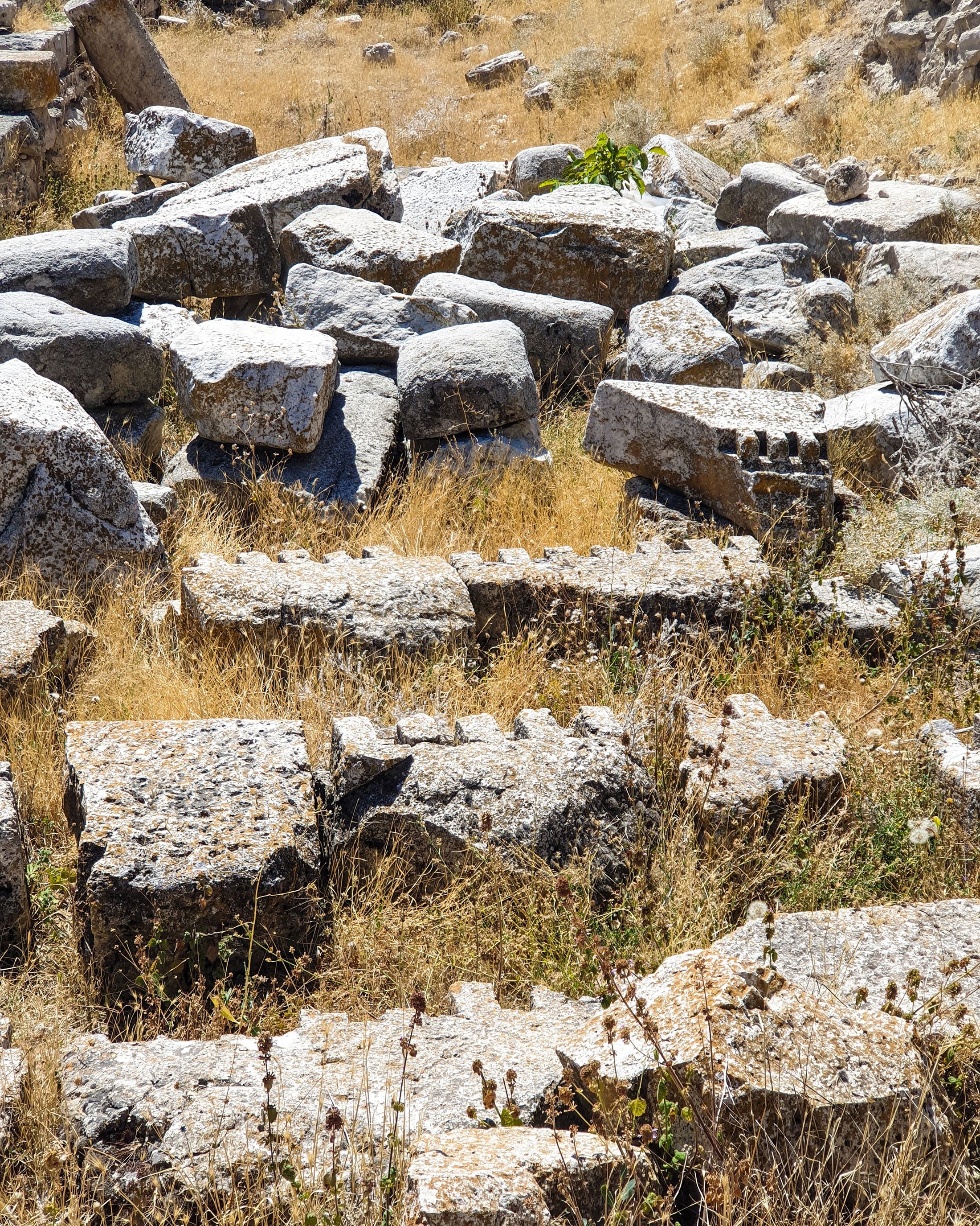 Architectural fragments in Agora at Pessinus. (Photo by Argun Konuk)
