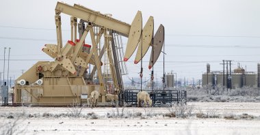 Cattle shelters from the cold wind on the side of a pump jack array in Midland, Texas, U.S., Feb. 13, 2021. (AP Photo)