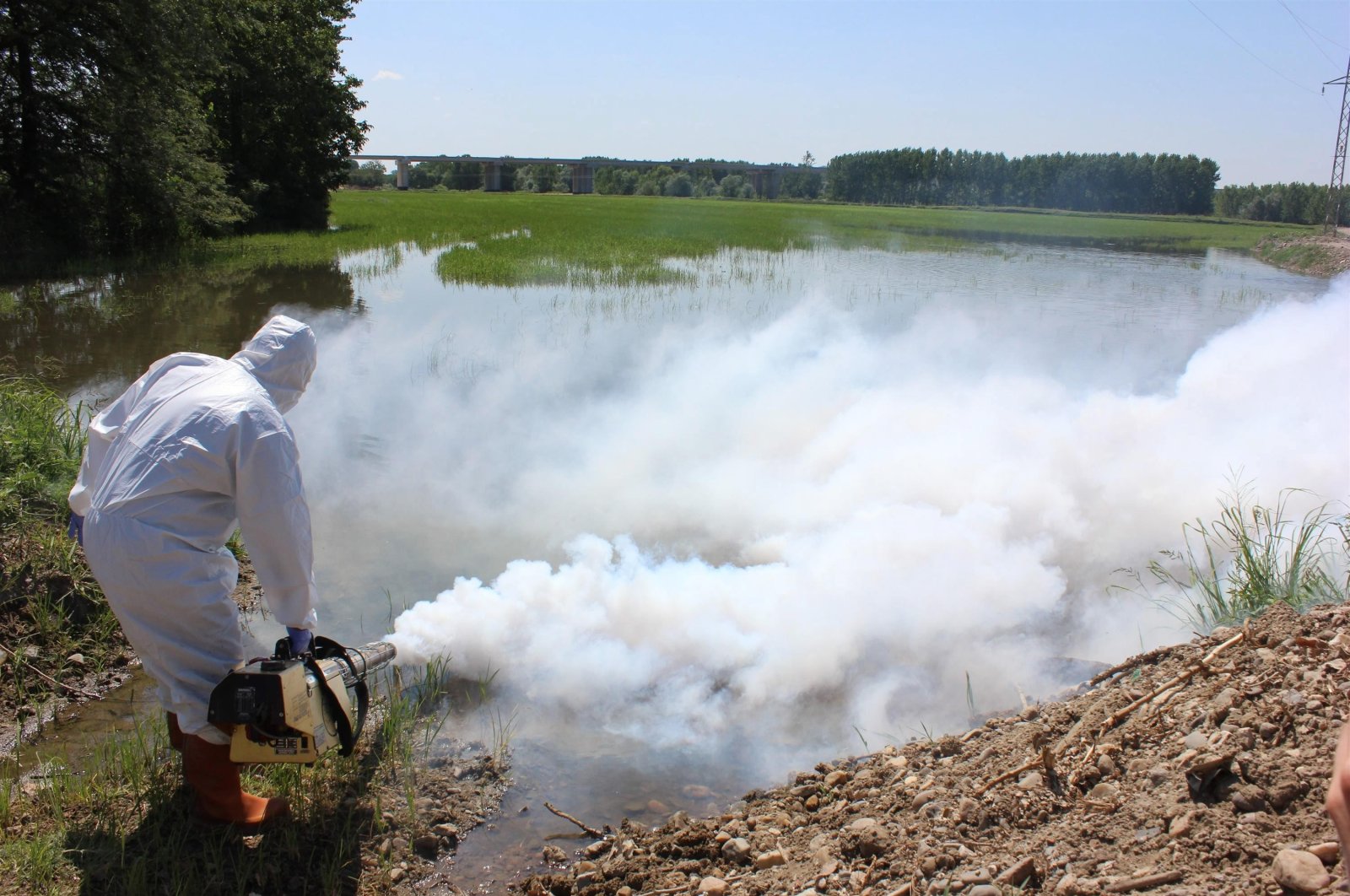 A municipality worker sprays pesticide to kill mosquitoes in Edirne, northwestern Turkey, July 16, 2015. (İHA PHOTO)