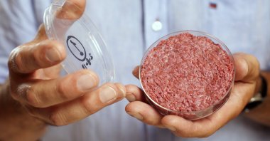 This file photo shows professor Mark Post holding the world's first lab-grown beef patty during a launch event in west London, Aug. 5, 2013. (Reuters Photo)