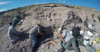Paleontologists excavate dinosaur bones that belonged to a titanosaur in Neuquen province, Argentina, Feb. 19, 2017. (CTyS-UNLaM via REUTERS)