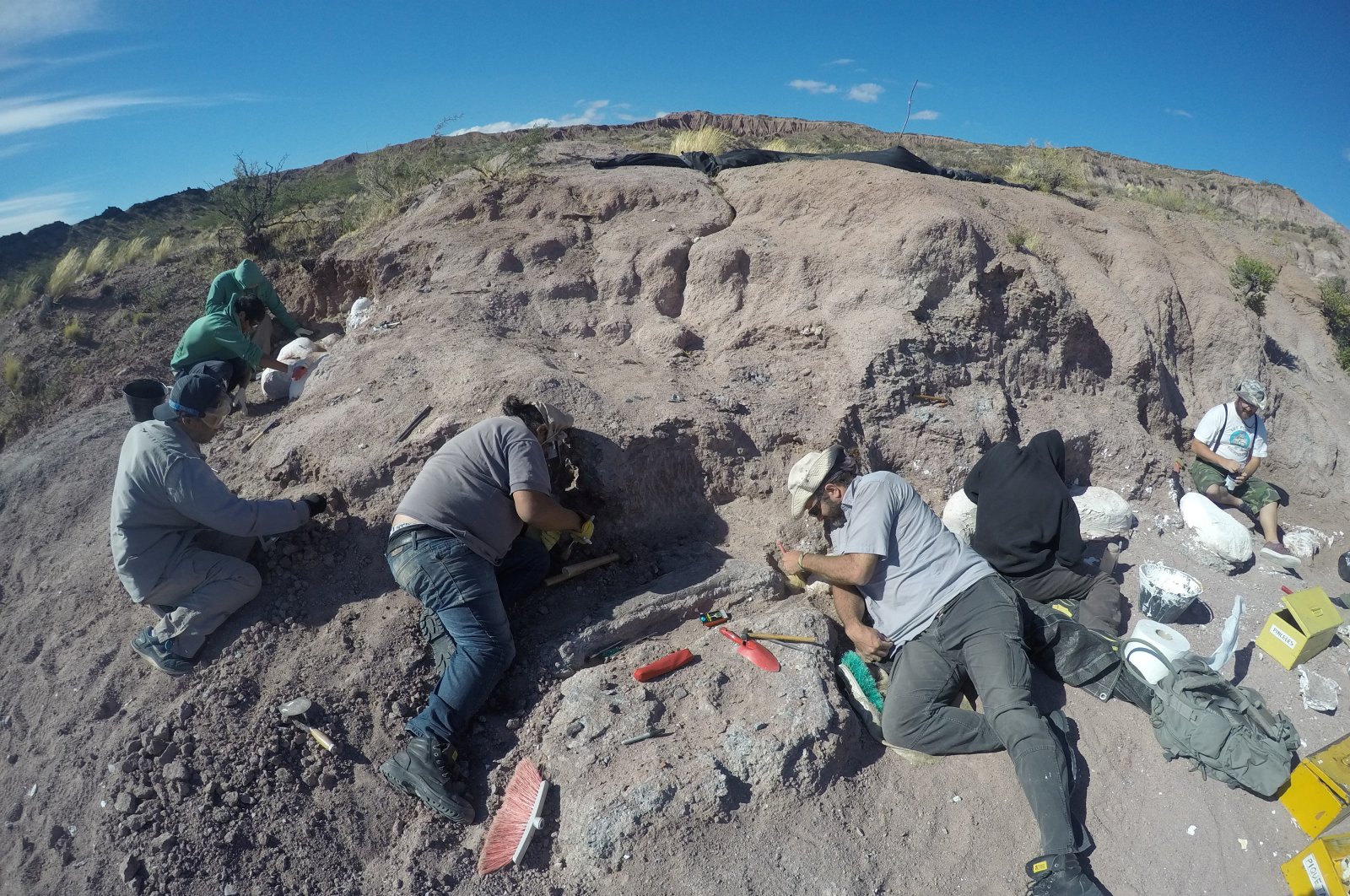 Paleontologists excavate dinosaur bones that belonged to a titanosaur in Neuquen province, Argentina, Feb. 19, 2017. (CTyS-UNLaM via REUTERS)