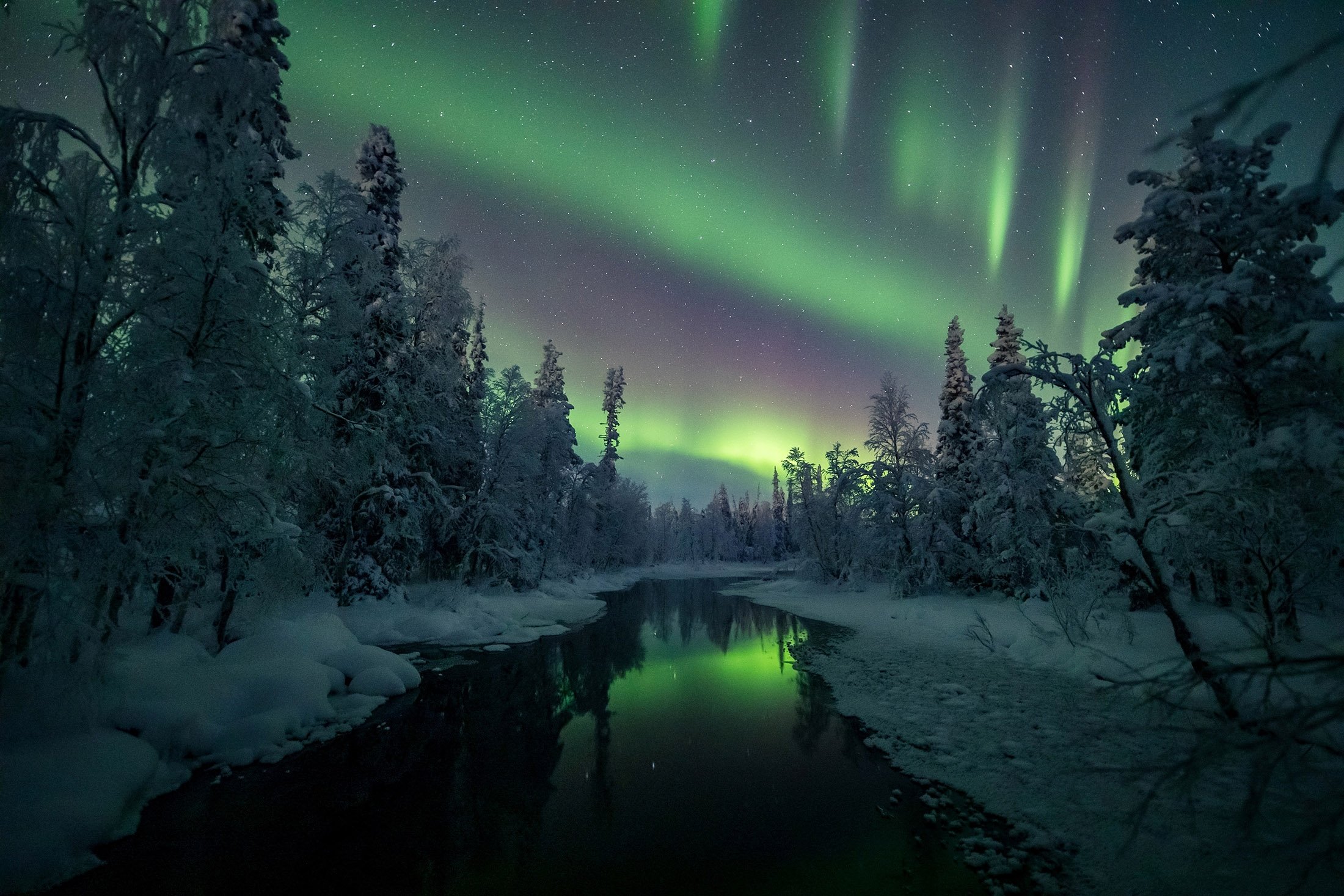 Northern lights magic: The magnificence of the Aurora Borealis | Daily