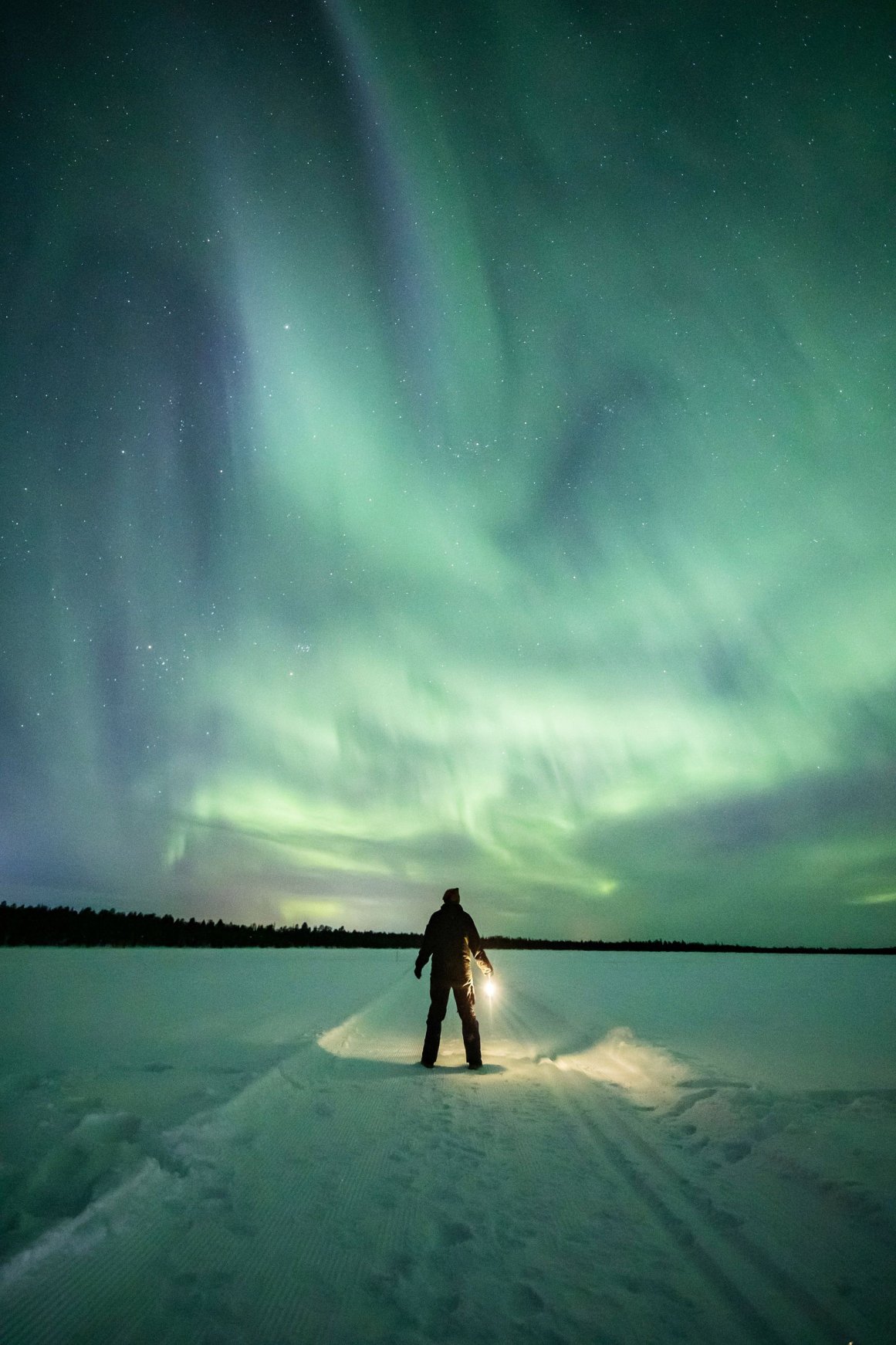 Northern lights magic: The magnificence of the Aurora Borealis | Daily ...