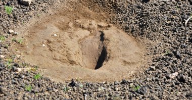 A 5,000-year-old footprint discovered in Turkey's western Manisa province, March 6, 2021. (DHA Photo)