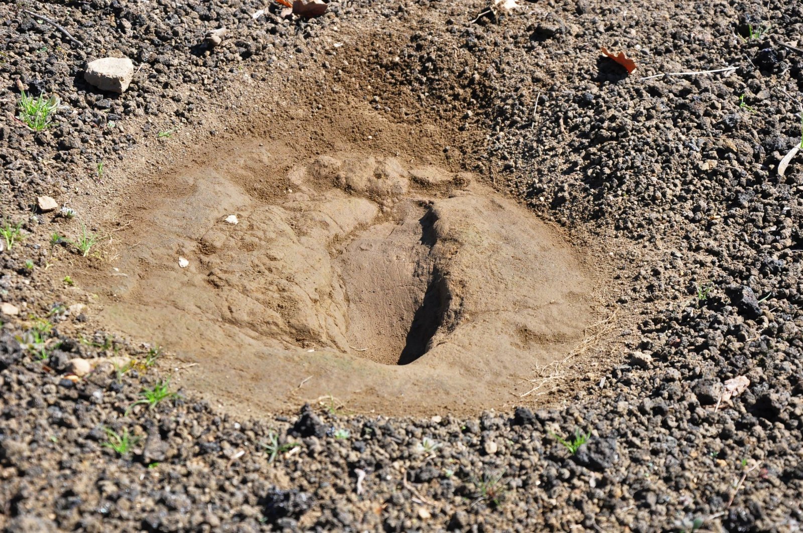 A 5,000-year-old footprint discovered in Turkey's western Manisa province, March 6, 2021. (DHA Photo)