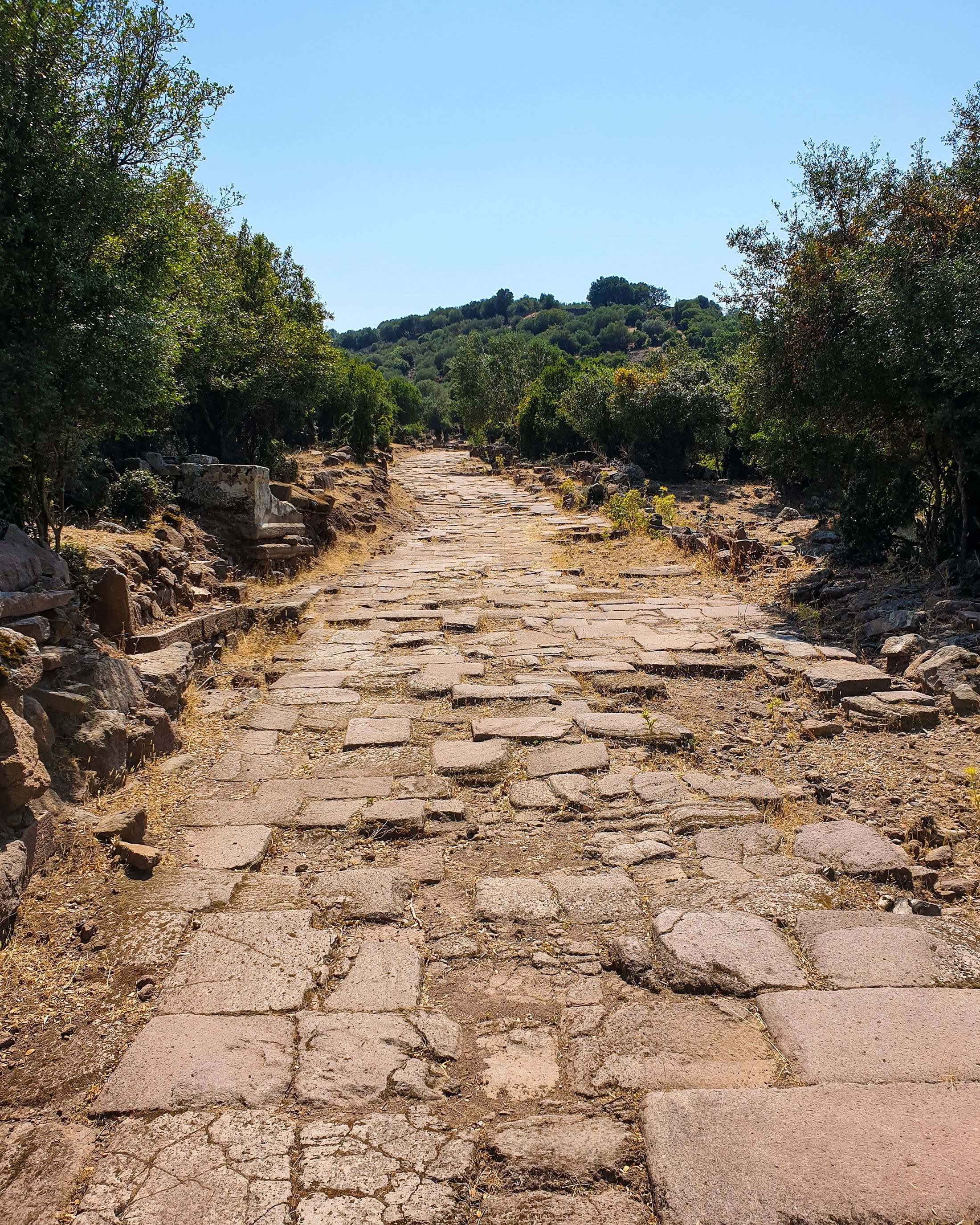 The cobblestone path at Aigai. (Photo by Argun Konuk)