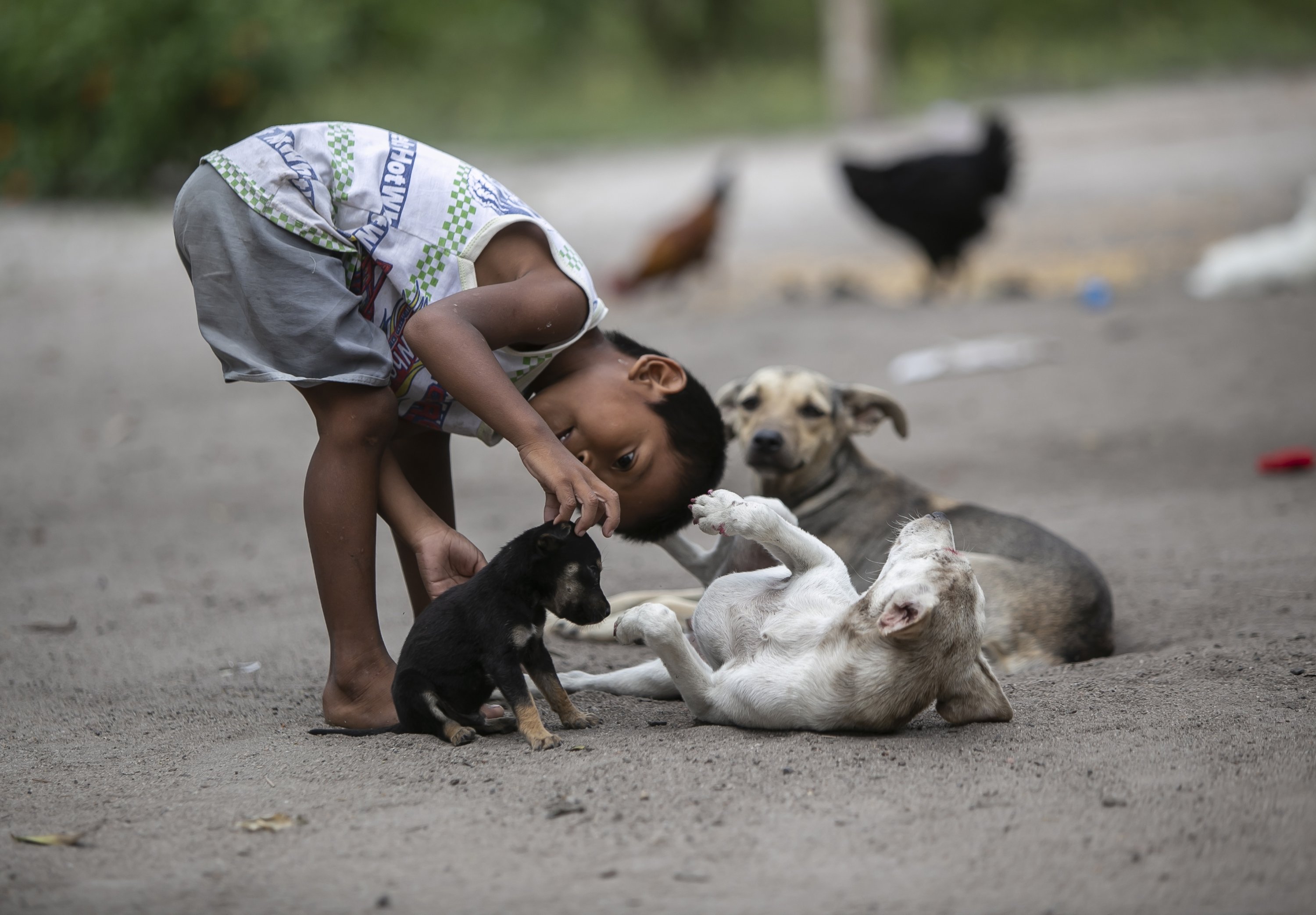 A Guarani boy pets a puppy in the village of Mata Verde Bonita, in Marica, Rio de Janeiro state, Brazil, Feb. 25, 2021. (AFP Photo)