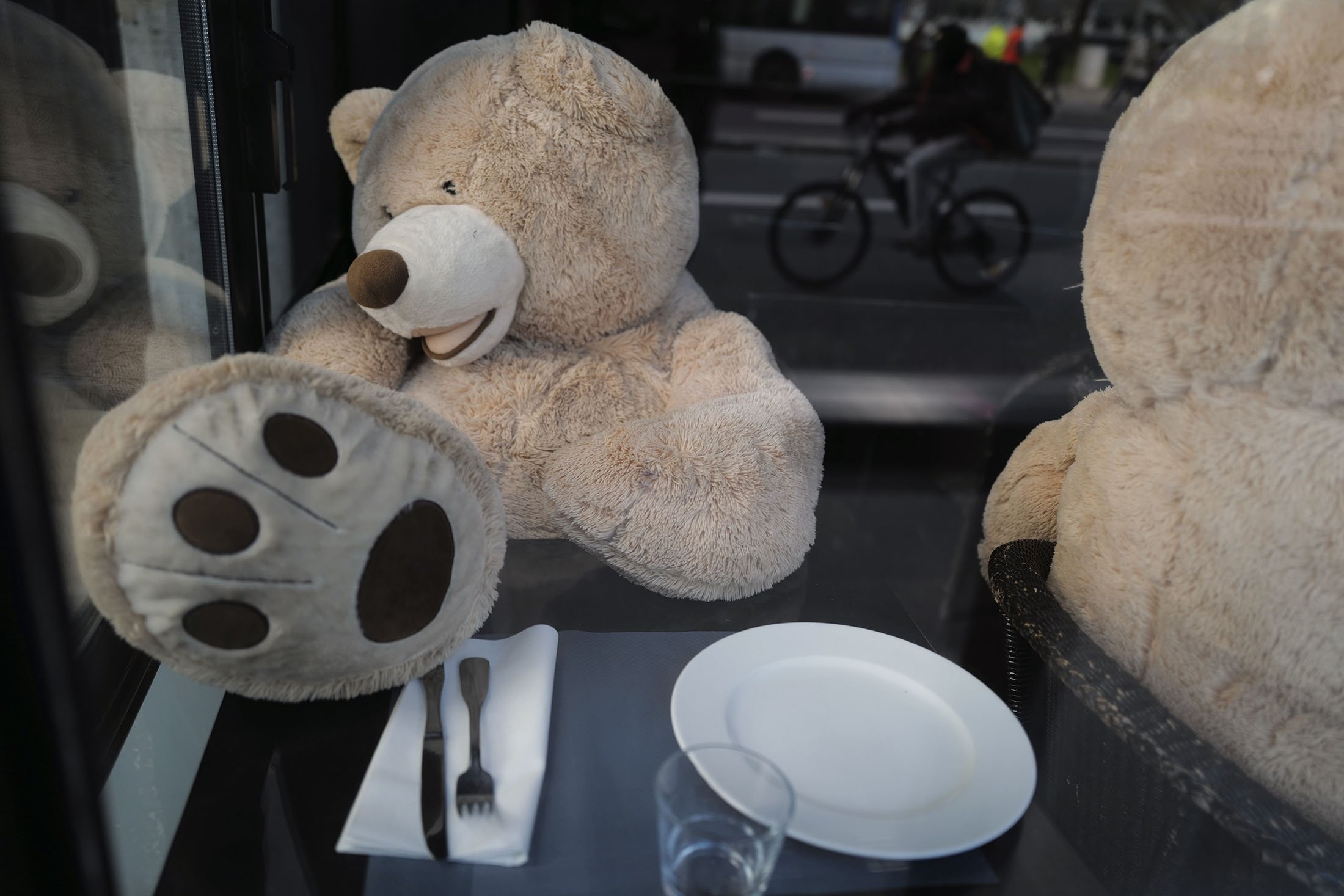 Bear teddy Teddy bears