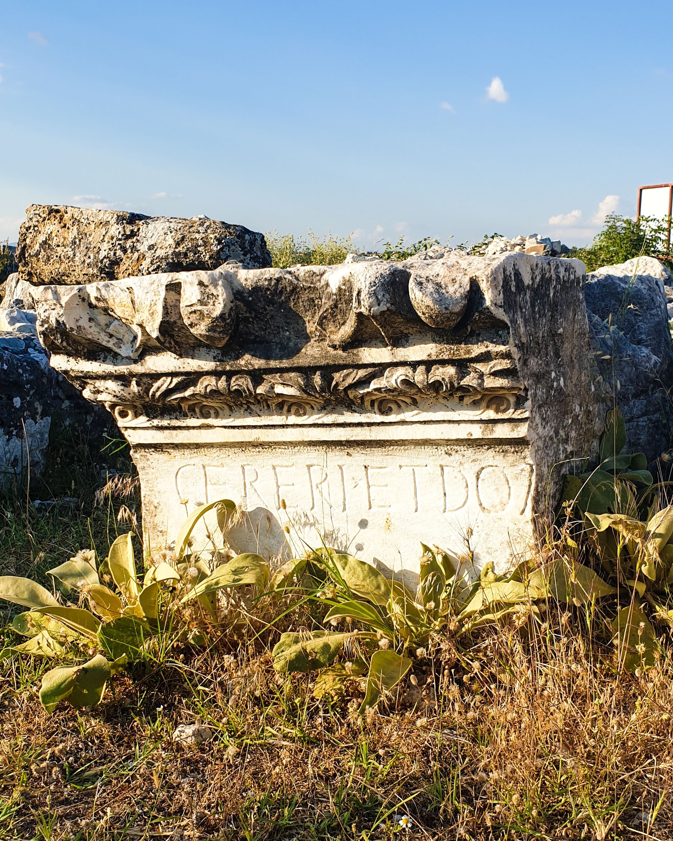 Remains of a pillar of the temple of Demeter at Blaundus, Uşak, western Turkey. (Photo by Argun Konuk)
