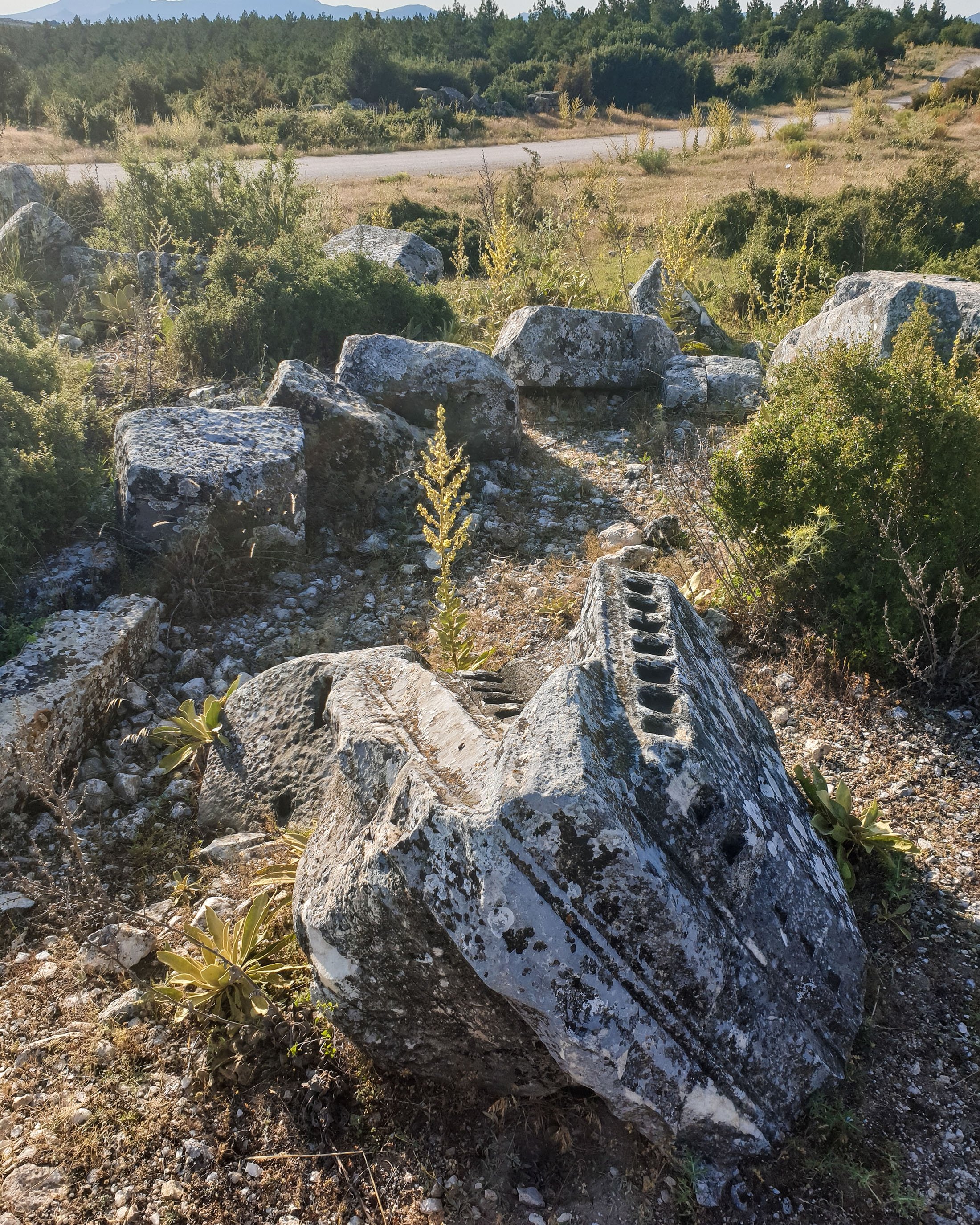 Marble fragments of the monumental tomb at Blaundus, Uşak, western Turkey. (Photo by Argun Konuk)
