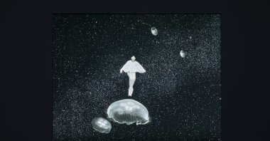 Agnes Guillaume, "Four My's - My Thoughts," 2016-2017. 