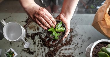 The potting soil you buy in plastic bags from the store may not always be the best choice for your plants. (Shutterstock Photo)