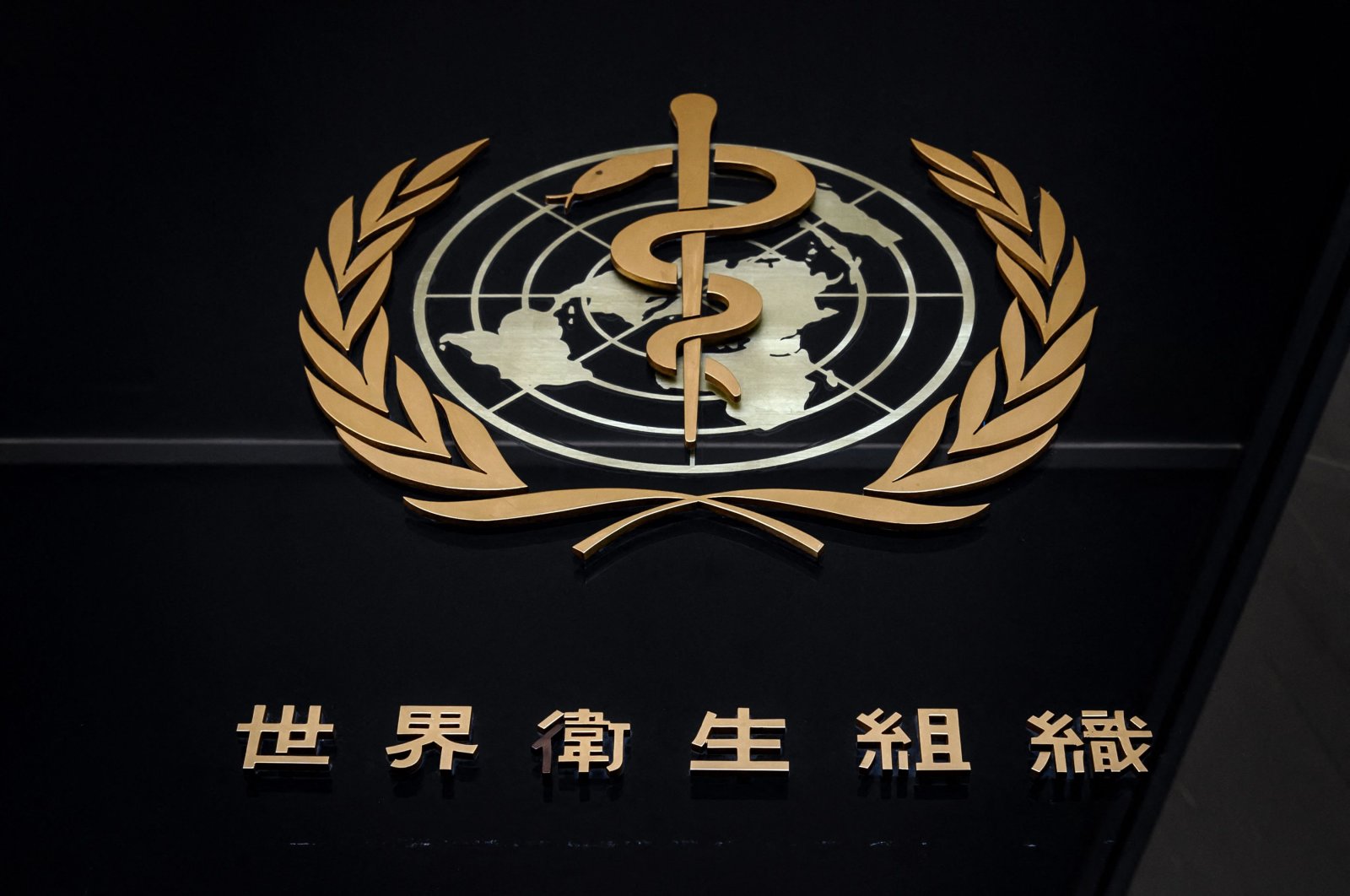 The logo of the World Health Organization (WHO) written in Chinese stands at the entrance of their headquarters in Geneva, Switzerland, Feb. 24, 2020. (AFP Photo)