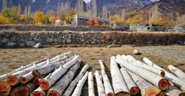 Tree logs cut down from nearby forests and gathered together, lay in the garden of a house in the Hunza and Gulmit valley located in the Gilgit-Baltistan region, northern Pakistan. (Shutterstock Photo)