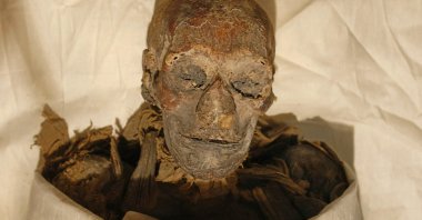 The mummified remains of Queen Hatshepsut, ancient Egypt's most famous female pharaoh, lie in a glass case after being unveiled at the Cairo Museum in Cairo, Egypt, June 27, 2007. (Photo by Cris BOURONCLE / AFP)