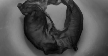 Görkem Ergün, "Phase: Repair" at Martch Art Project, in collaboration with The Empire Project, Istanbul, Turkey (Courtesy of Martch Art Project)