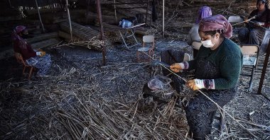 Women from the Roma community arrange reeds they collected for basket making, in Mersin, southern Turkey, June 3, 2020. (AA PHOTO)