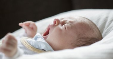 A 5-week old baby yawns on a pillow on April 19, in Buecheloh, Germany. (Photothek via Getty Images)