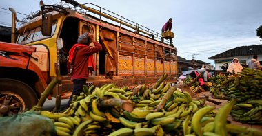 People unload fruits and vegetables from a transport vehicle in Silvia, Colombia, South America, March 9, 2021. (AFP Photo)