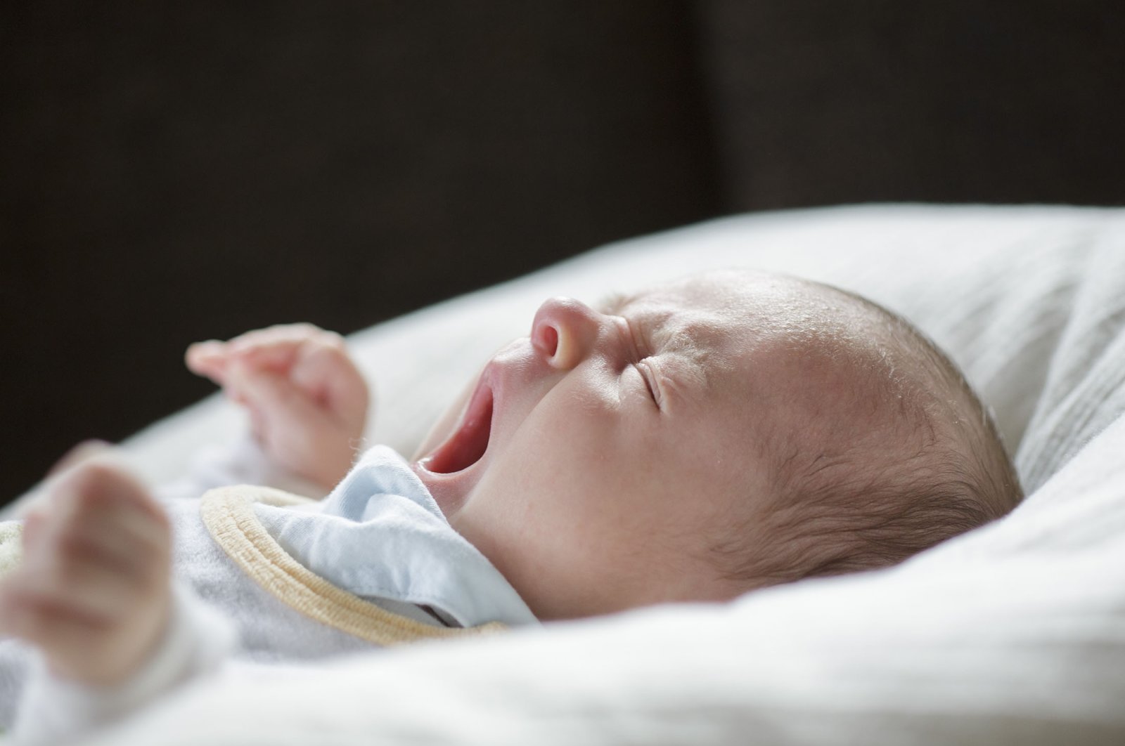 A 5-week old baby yawns on a pillow on April 19, in Buecheloh, Germany. (Photothek via Getty Images)