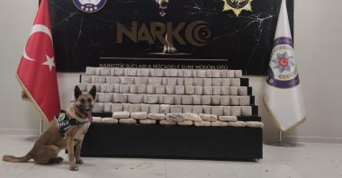 A police dog poses with drugs it helped seize, in Van, eastern Turkey, April 9, 2021. (AA PHOTO)