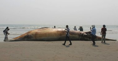 Onlookers stand around a dead whale washed away at a beach in Cox's Bazar, Bangladesh, April 9, 2021. (AFP Photo)