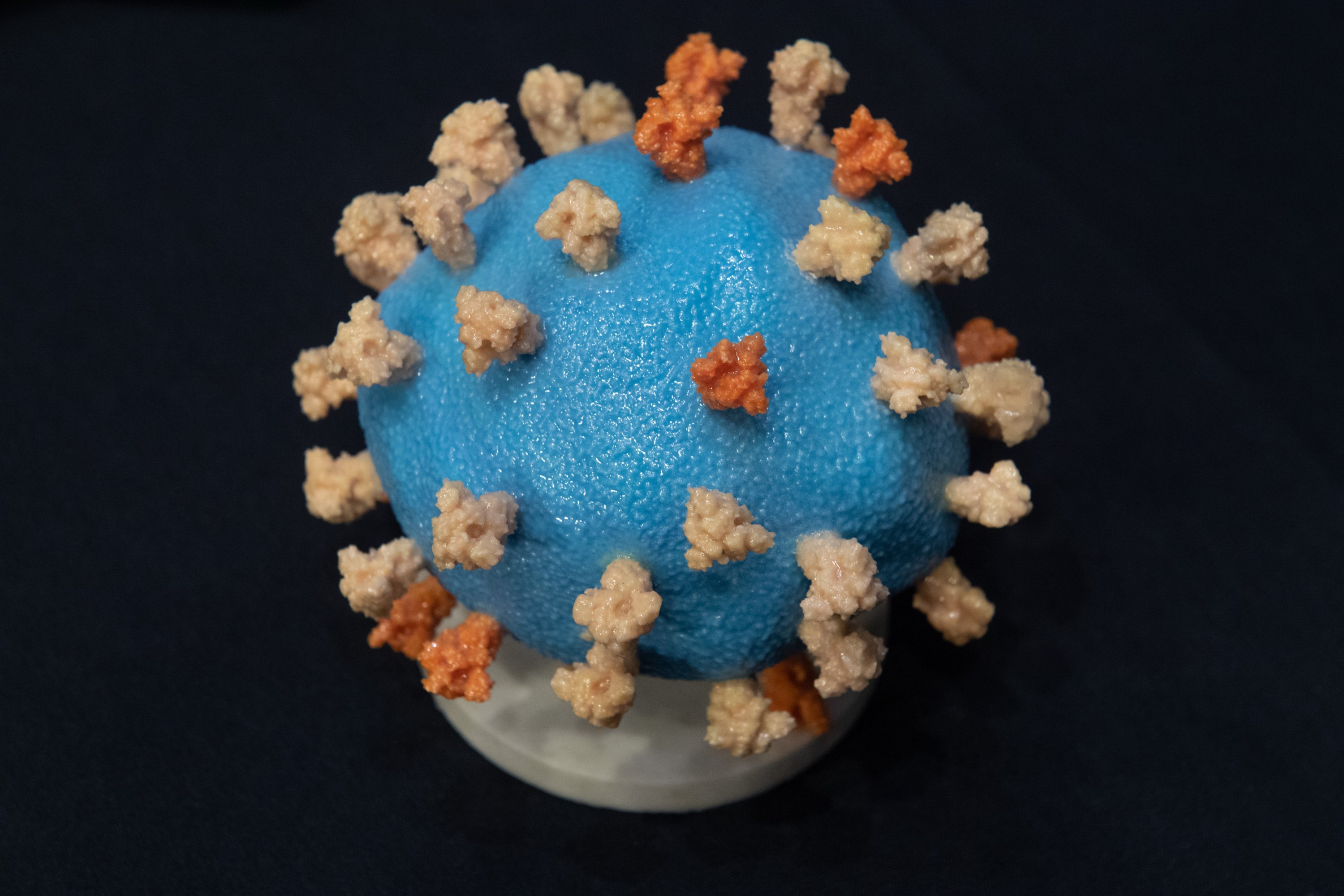 A model of the coronavirus is seen as part of a vaccine planning program, Washington, D.C., U.S., July 2, 2020. (Photo by Getty Images)