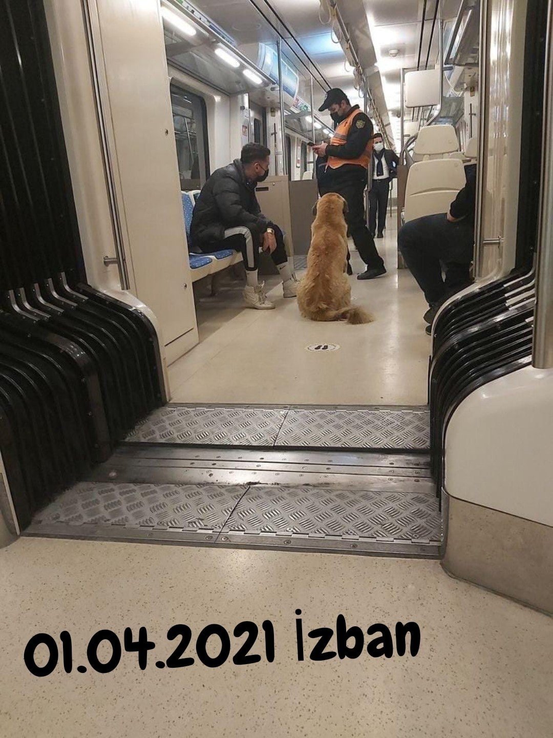 In this social media post shared on April 1, 2021, a user documents Sam the dog on the IZBAN suburban rail in Izmir, Turkey, in this image provided on April 12, 2021. (IHA Photo)