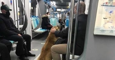 This undated social media post shows Sam the dog on the Halkapınar-Fahrettin Altay tram in Izmir, Turkey. The image was provided on April 12, 2021. (IHA Photo)