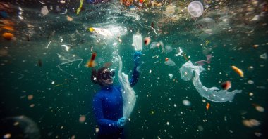 Şebnem Coşkun's photo of Turkish diver Şahika Ercümen among the plastic pollution in the Bosporus Strait won the Nature and Environment category at Pictures of the Year, Asia. (AA Photo)