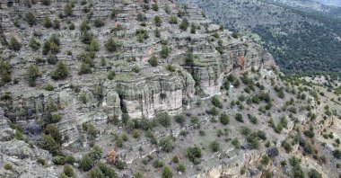 An aerial view of the fossil forest in Turkey's northwestern Bolu province, Turkey, April 14, 2021. (AA Photo)