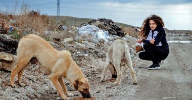 Painter Şeyma Kayan feeds stray dogs in central Konya, Turkey, April 13, 2021. (AA Photo)