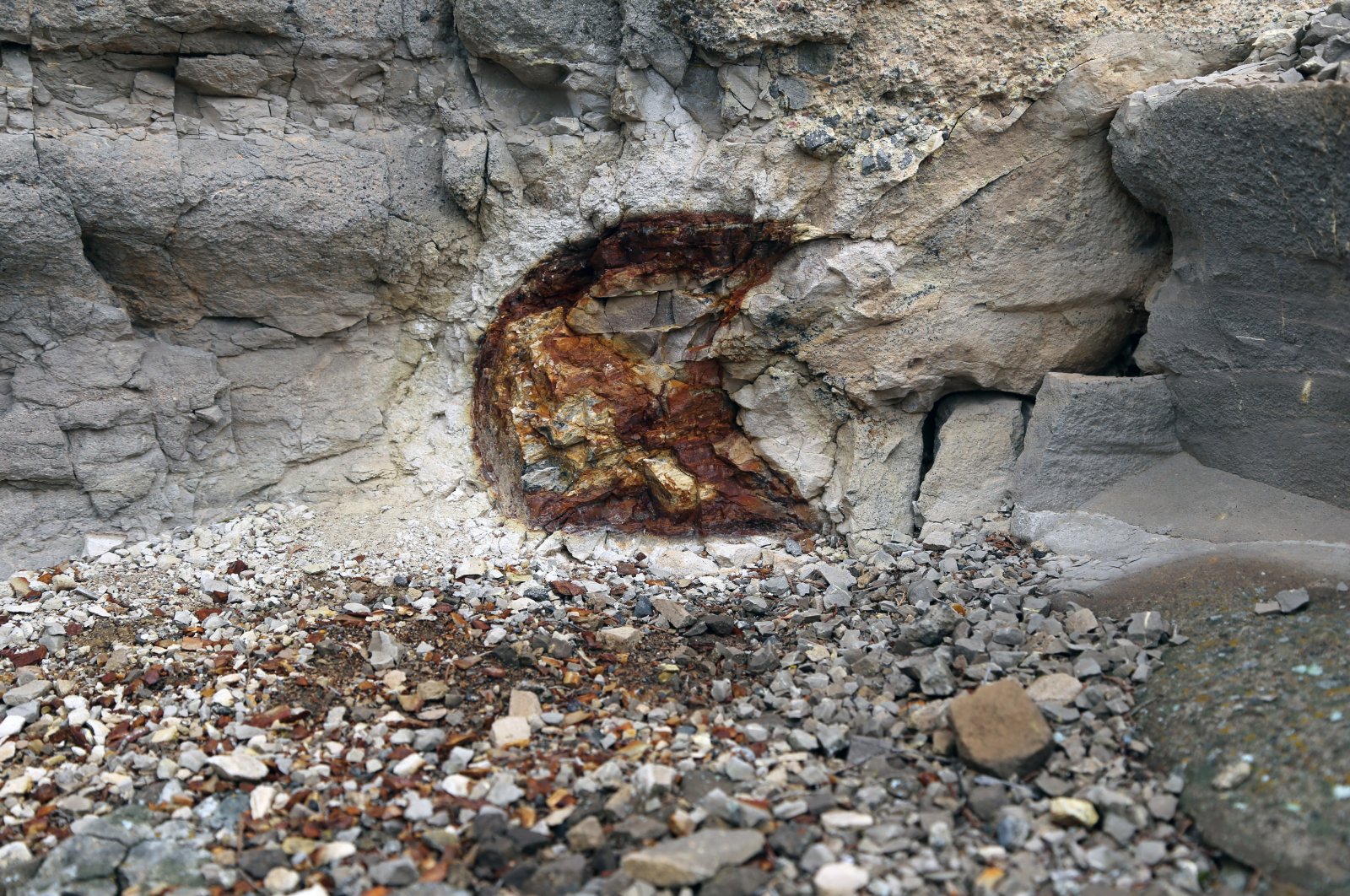 Petrified wood in Turkey's first fossil forest, Hoçaş Fossil Forest, in Bolu, Turkey, April 14, 2021. (AA Photo)