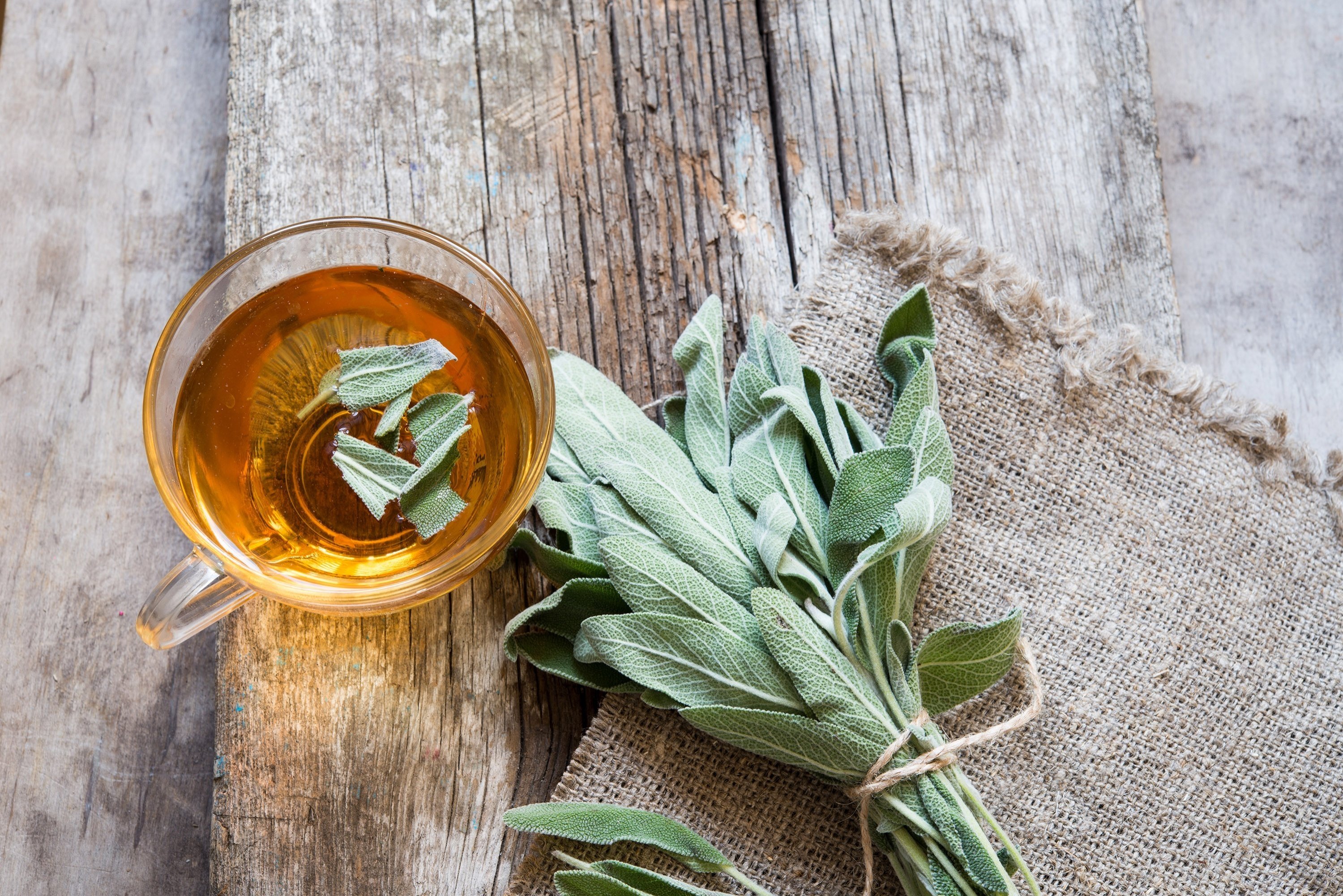 Sage is one of the most popular Mediterranean herbs and commonly consumed as tea in winter. (Shutterstock Photo) 